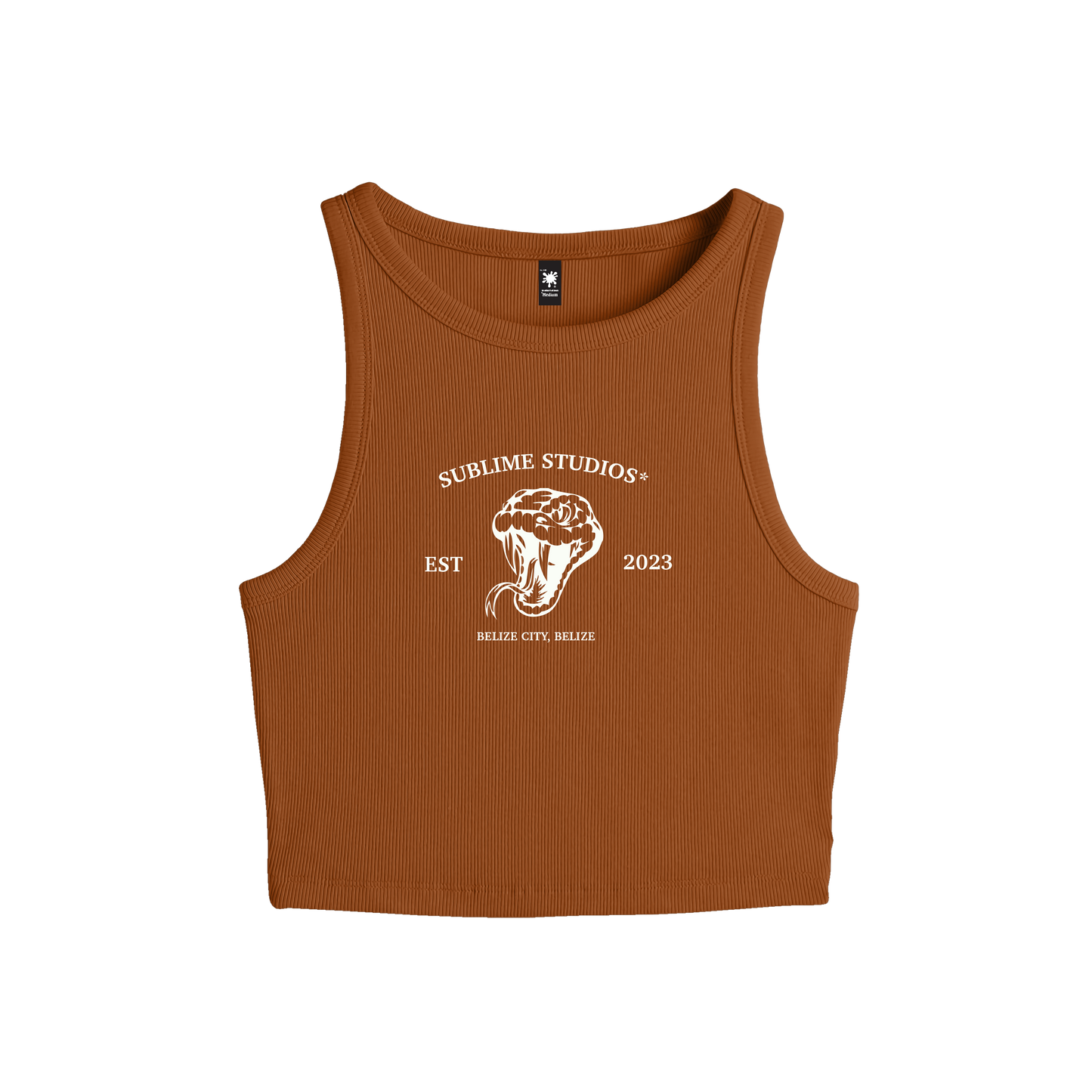 baby snake tank*
